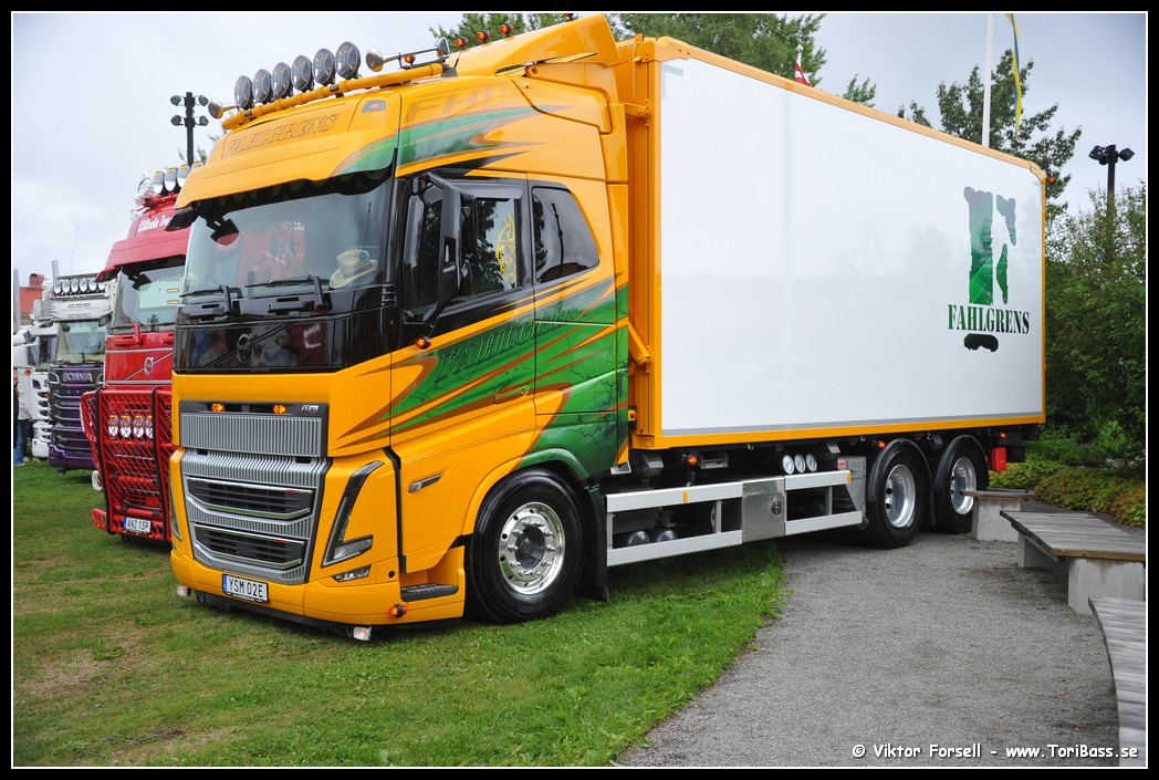 D3S_7239