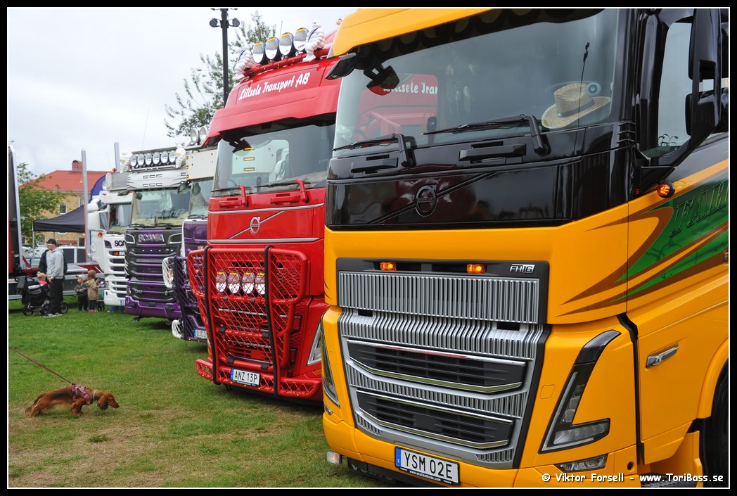D3S_7243