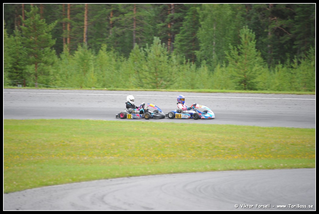 D3S_6595