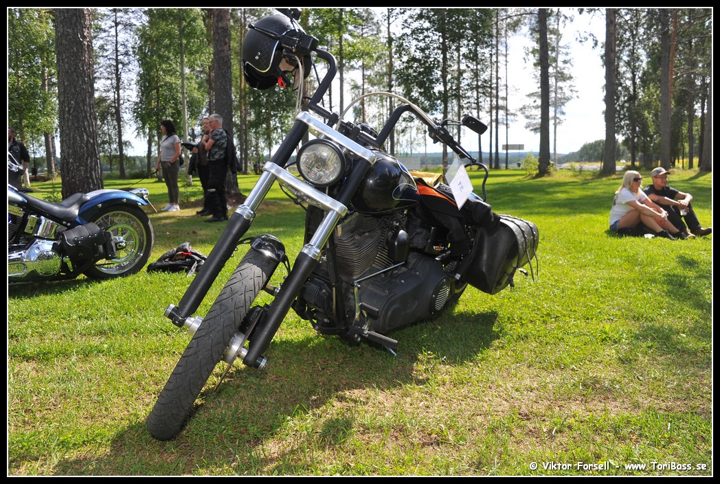 D3S_9229