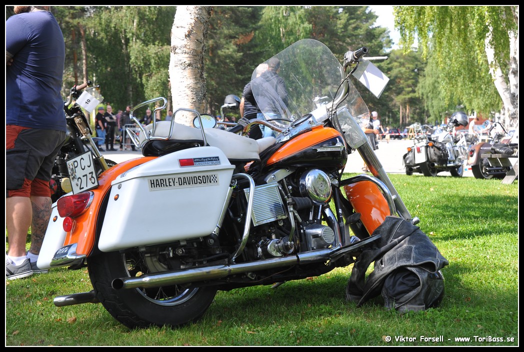 D3S_9254