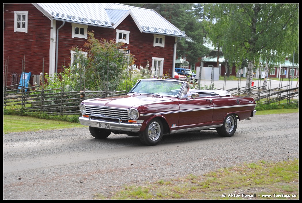 D3S_9516